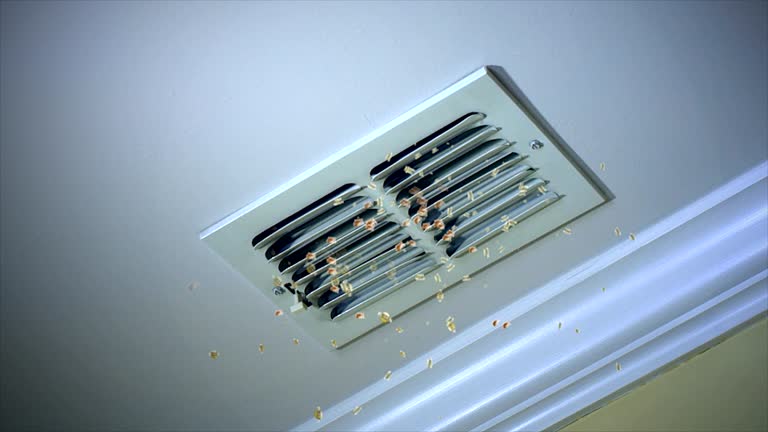 Best Residential Air Duct Cleaning  in Morrisonvle, IL